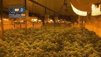 Cae una “macroestructura” en Almería