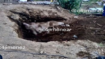 El cadáver fue hallado durante