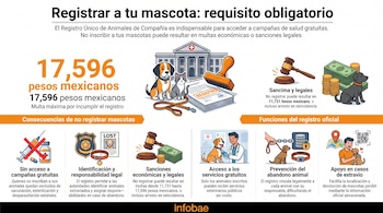 Infografía: texto, perro, gato, edificio, sello, multa de 17,596 pesos, jeringa, píldoras, placa de policía, collar, mazo, dinero, veterinario, mapa, código QR.