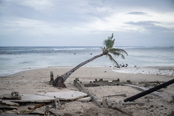 El tifón Dolphin amenaza a Okinawa con lluvias intensas, vientos extremos, marejadas, inundaciones, deslizamientos y posibles interrupciones de vuelos y ferris. (Photo by Yuichi YAMAZAKI / AFP)