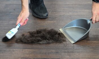 ARCHIVO - El cabello cortado