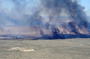 "No creemos que haya sido adrede pero sí algún acto irresponsable que generó este siniestro", dijo el intendente de Puerto Madryn, Gustavo Sastre (REUTERS)