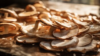 Su composición los hace requerir