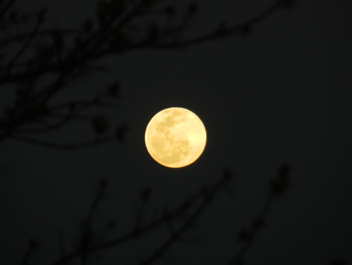 Este tipo de eventos astronómicos pueden verse a simple vista en lugares despejados, lejos de las grandes ciudades - crédito @camaratuerta/X