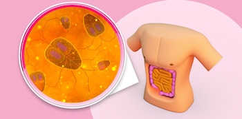 Día Mundial de la Salud Digestiva - Salud Digestiva – Perú – noticias – 29 mayo