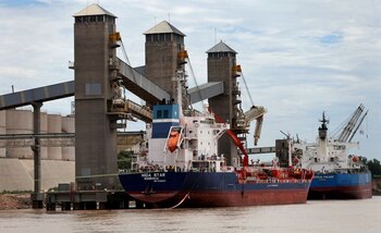 Los exportadores deben liquidar las