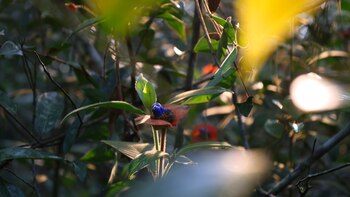 El futuro sostenible de la