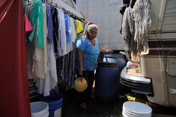 Los Bardum descartan el uso