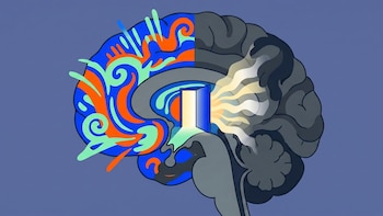 Hallan un patrón cerebral que distingue con precisión la conciencia del sueño profundo