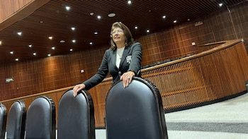 Fiscalía del Edomex investiga sacrificio de 10 mil perros tras declaraciones de senadora de Morena