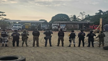 Aseguran más de medio centenar