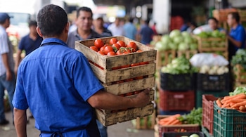 Un hombre de espaldas con camisa azul carga una caja de madera llena de tomates rojos. Se observan otras cajas de verduras y personas en el fondo.