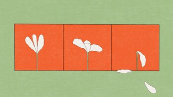 Cómo los anuncios dirigidos a