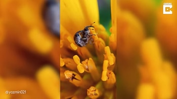 Las autoridades identifican varias causas