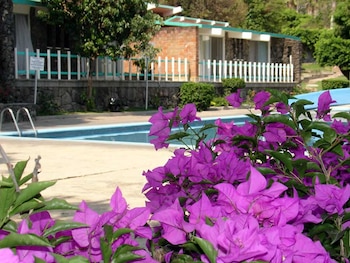 Flores púrpuras con hojas verdes, piscina de agua azul, pavimento claro, escaleras metálicas, un edificio de ladrillo y barandilla blanca