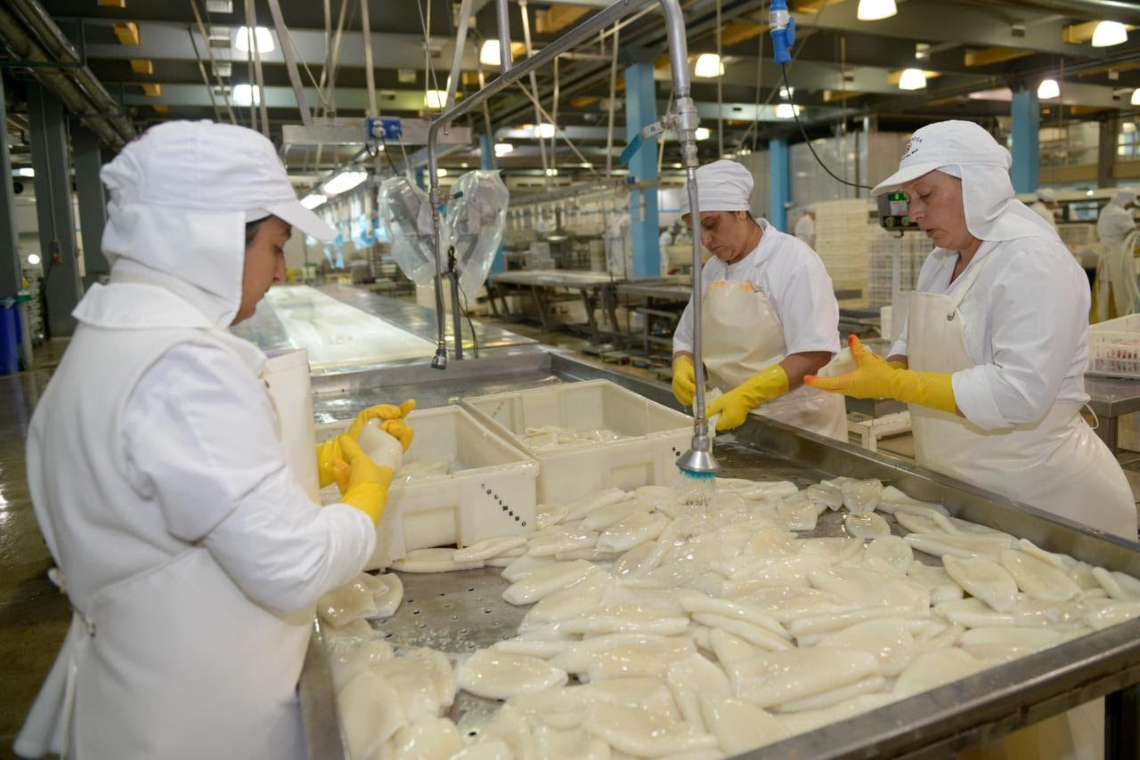 La industria y el comercio registraron fuertes retrocesos, siendo los sectores con mayor impacto negativo en el empleo nacional