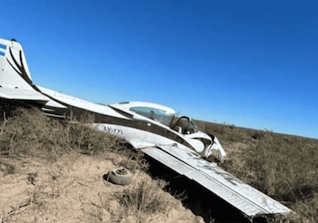 El matrimonio viajaba junto a