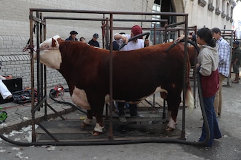 La Gobernación de Córdoba defiende