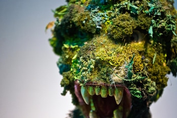 "Más que usuario me considero