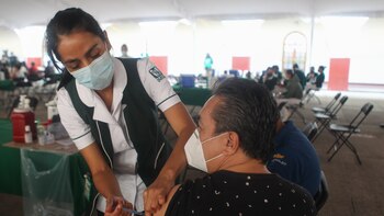 Cuándo iniciará la vacunación contra