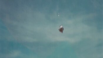 “The Phenomenon”: la historia completa