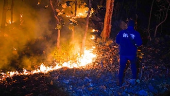Elementos policiales y de Protección