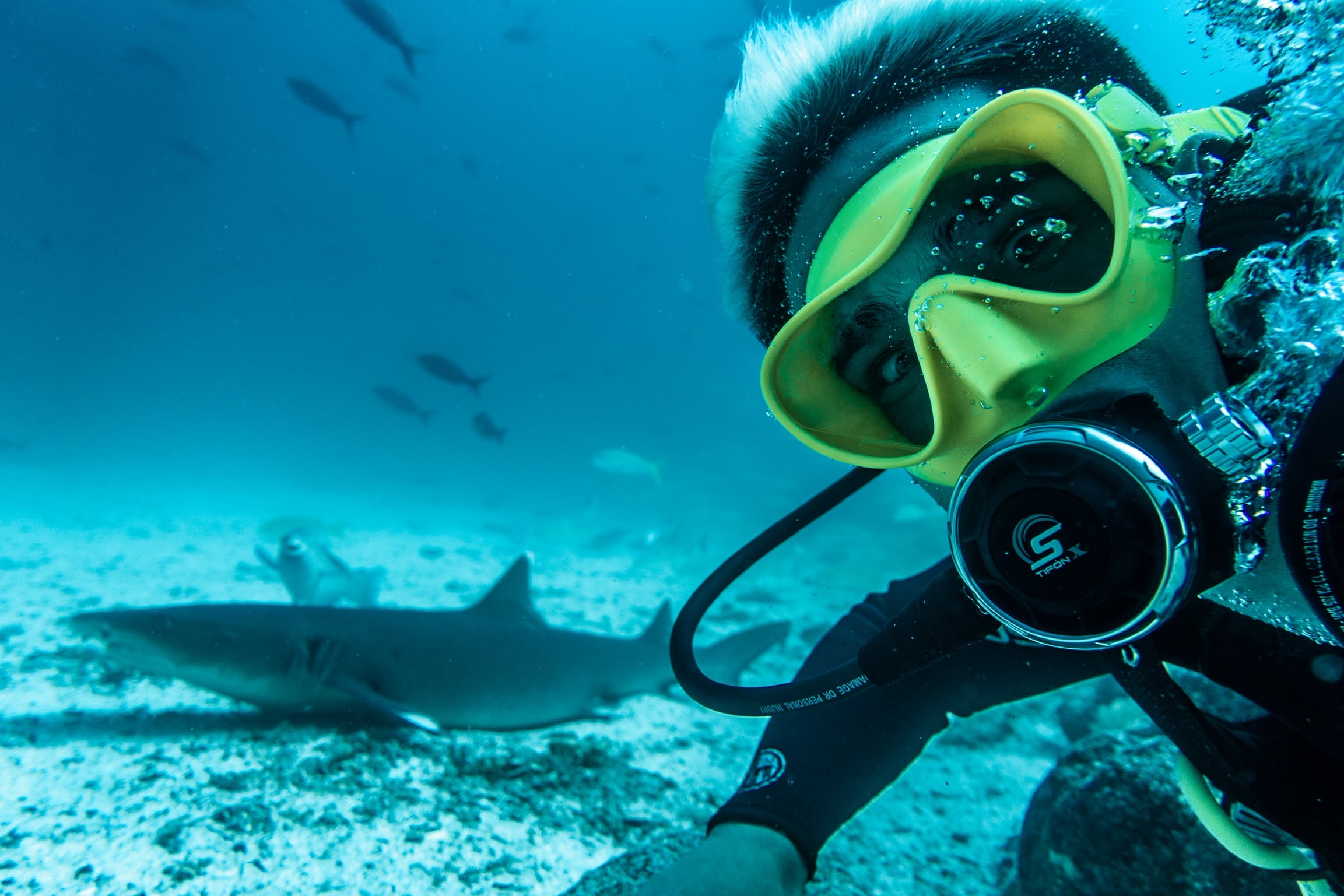 El fotógrafo argentino recorrió los océanos del mundo registrando tiburones, orcas, ballenas, mantarrayas y tortugas, siempre con un fuerte mensaje de conservación
