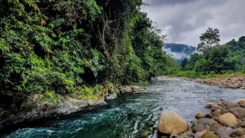 La exuberante naturaleza de Madre