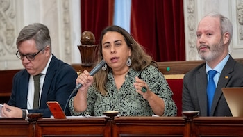 El PSOE lamenta el presunto