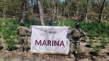 En territorio del Cártel de