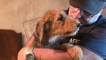 Rescataron 23 perros hacinados y