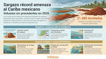 Infografía que ilustra el sargazo récord en el Caribe mexicano, con una playa cubierta de algas, el número de 21.685 toneladas, y paneles explicativos sobre el problema.