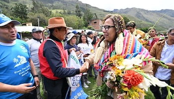 La iniciativa busca restaurar ecosistemas degradados mediante la siembra y mantenimiento de especies nativas. Gob