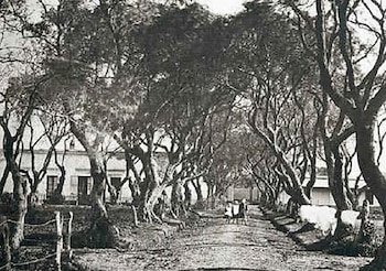 Ingreso al Cementerio de los