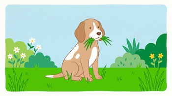 Ilustración plana de un perro mediano marrón claro y blanco masticando pasto en un jardín verde con arbustos y flores, bajo un cielo celeste.