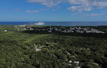 La Semarnat bloqueó el parque acuático de Royal Caribbean en Mahahual tras alertas de organizaciones ambientales sobre el riesgo para manglares. REUTERS/Paola Chiomante