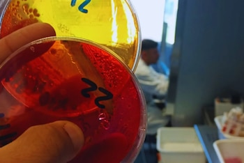 La incorporación del laboratorio garantiza la elaboración de análisis oficiales y mejora respuestas al sector productivo nacional