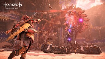 En las arenas se podrán