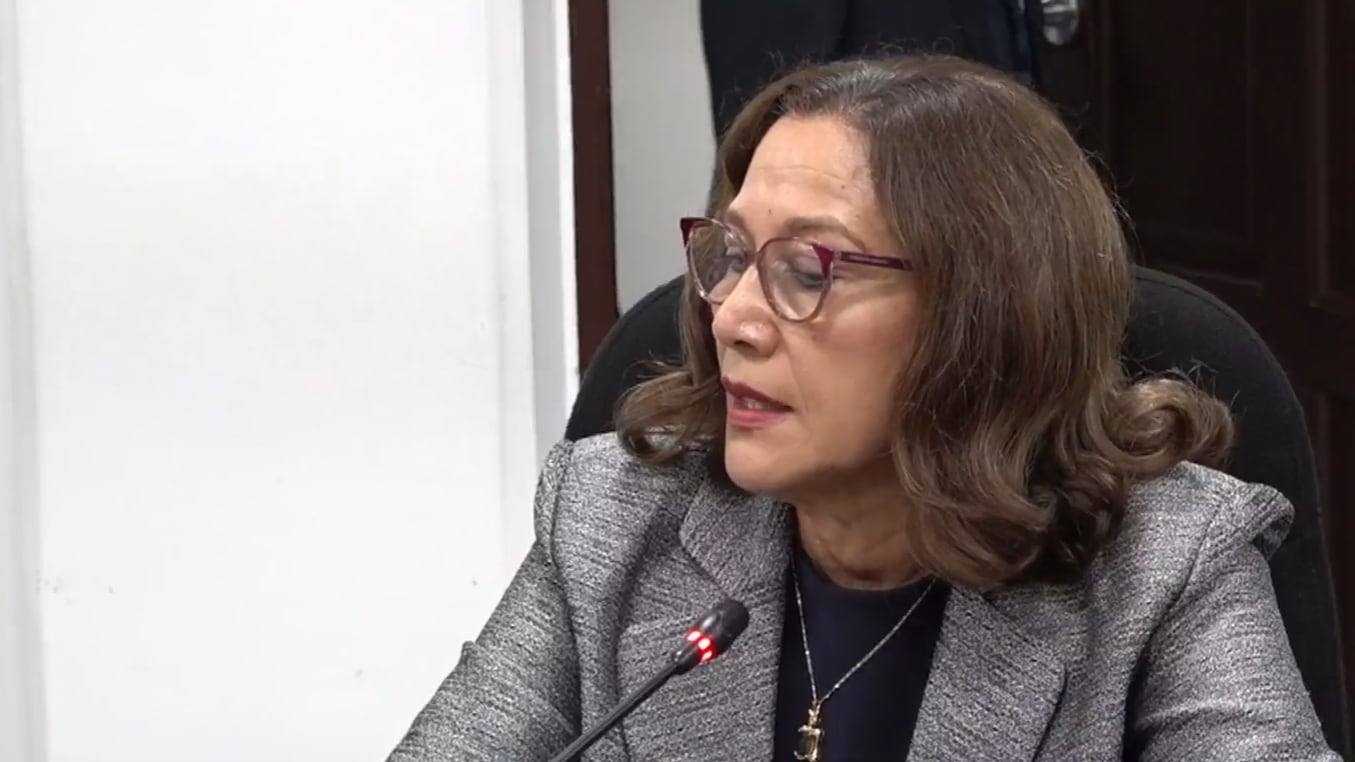 La subdirectora general de Inversión y Crédito Público del Ministerio de Hacienda explicó ante los diputados que el financiamiento permitirá apoyar las actividades centrales del censo económico, cuyo último levantamiento nacional se realizó en 2005.