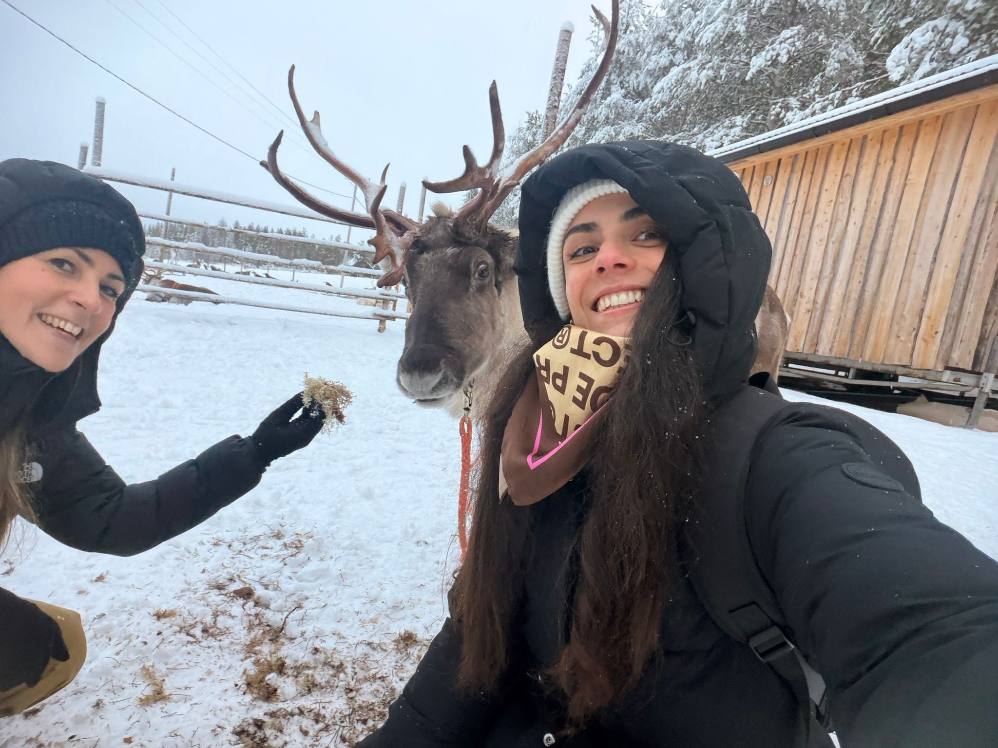 Milagros tiene contrato hasta el 31 de marzo y contó que hay otros 6 argentinos trabajando en el hotel