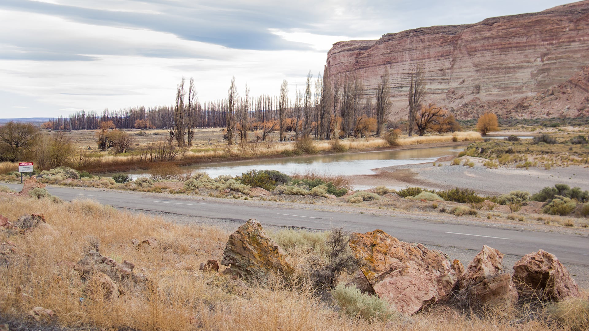 Científicos publicaron un libro sobre el “Valle Gondwana”, que es como una guía para descubrir paisajes, fósiles y volcanes que cuentan la historia profunda de la Patagonia argentina (Ignacio Escapa)
