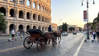 La Cámara de los Diputados de Italia debate una ley para prohibir las botticelle en las ciudades