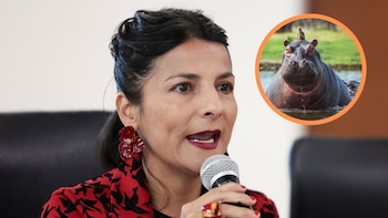 Exministra Irene Vélez cuestionó las nuevas medidas del Gobierno para controlar los hipopótamos: “Tecno-estupidez”