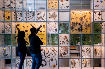 Personas visitan el Pabellón Nacional