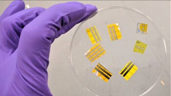 Cómo son los novedosos tatuajes