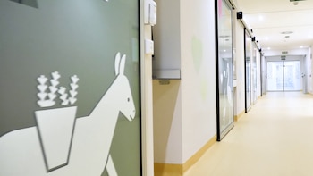 La nueva división en habitaciones individuales dificulta la atención de las enfermeras. (Hospital Universitario 12 de Octubre)