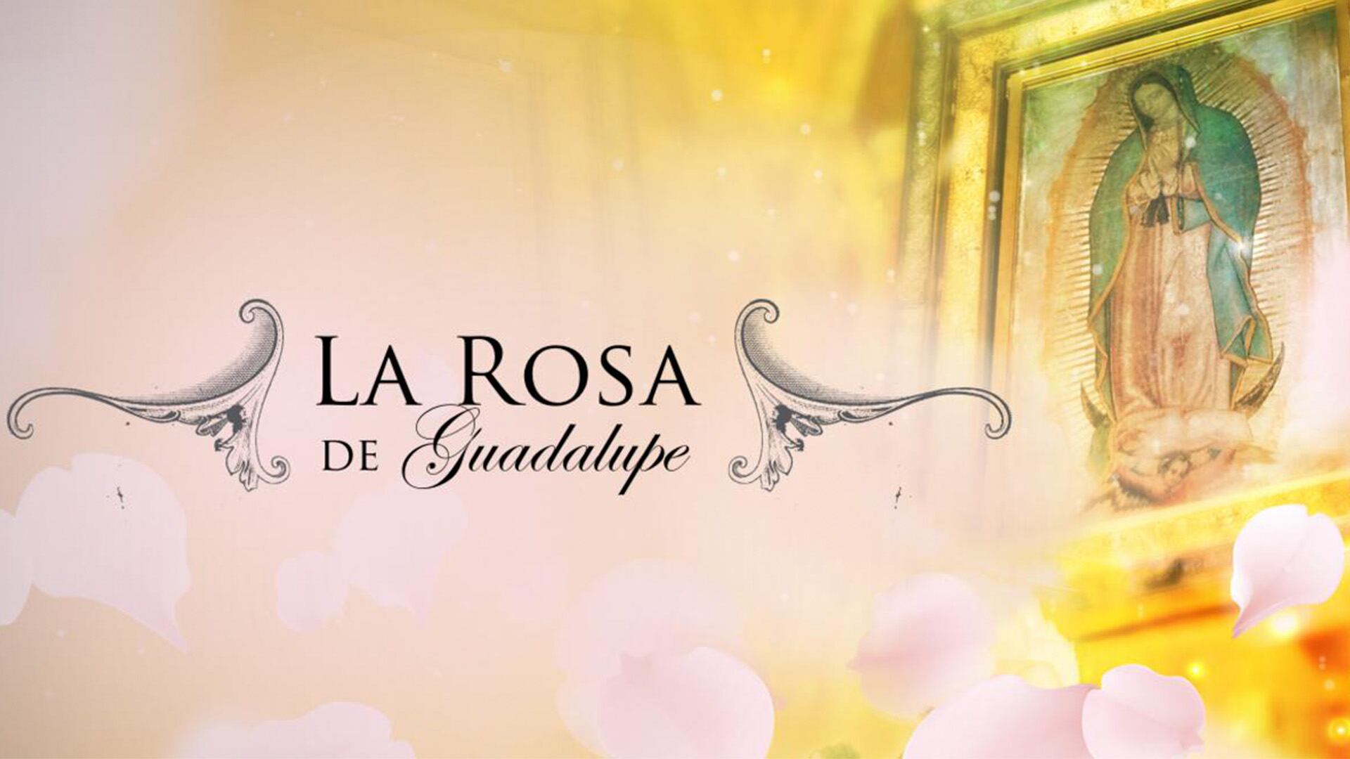 ‘La Rosa de Guadalupe’: cuándo y a qué hora ver el estreno de la temporada 17 en TelevisaCrédito:Televisa