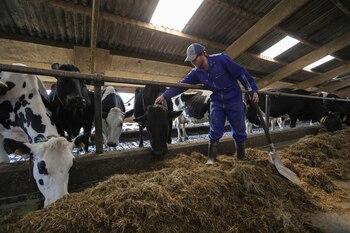 El mundo desperdicia alrededor de