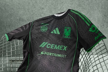 (X / Tigres / Tigres