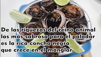 Ejemplo de cumanana tumbesina (masculturaparaunmejorpaisengoogle)